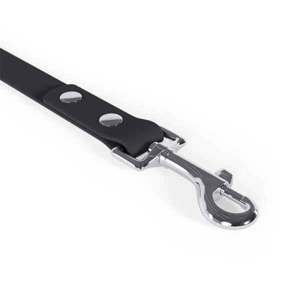 Leash - Image 4