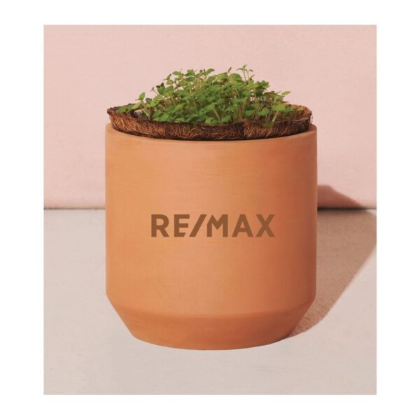 Modern Sprout® Tiny Terracotta Grow Kit Thank You Daisies