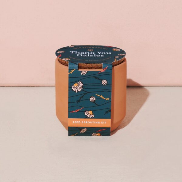 Modern Sprout® Tiny Terracotta Grow Kit Thank You Daisies - Image 2