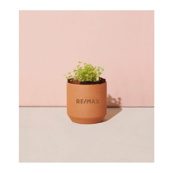Modern Sprout® Tiny Terracotta Grow Kit Good Luck Clover