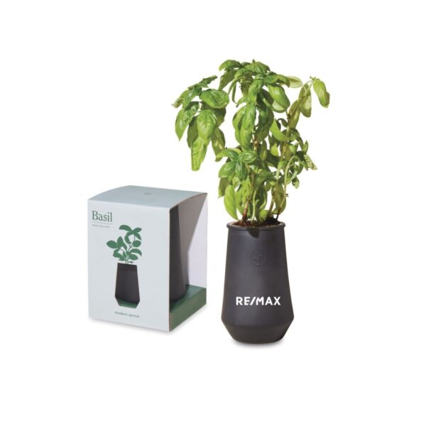 Modern Sprout Tapered Tumbler Grow Kit (Basil)