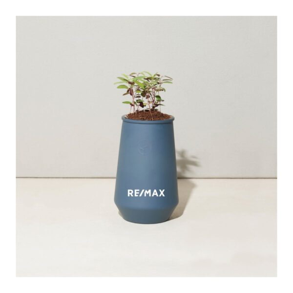 Modern Sprout Tapered Tumbler Grow Kit (Eucalyptus)