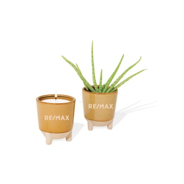 Modern Sprout® Glow & Grow Live Well Gift Set (Aloe Seeds)
