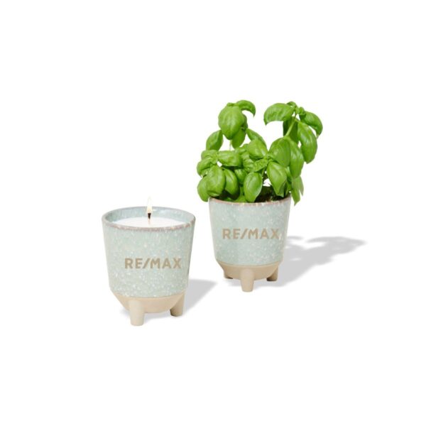 Modern Sprout® Glow & Grow Live Well Gift Set (Basil Seeds)
